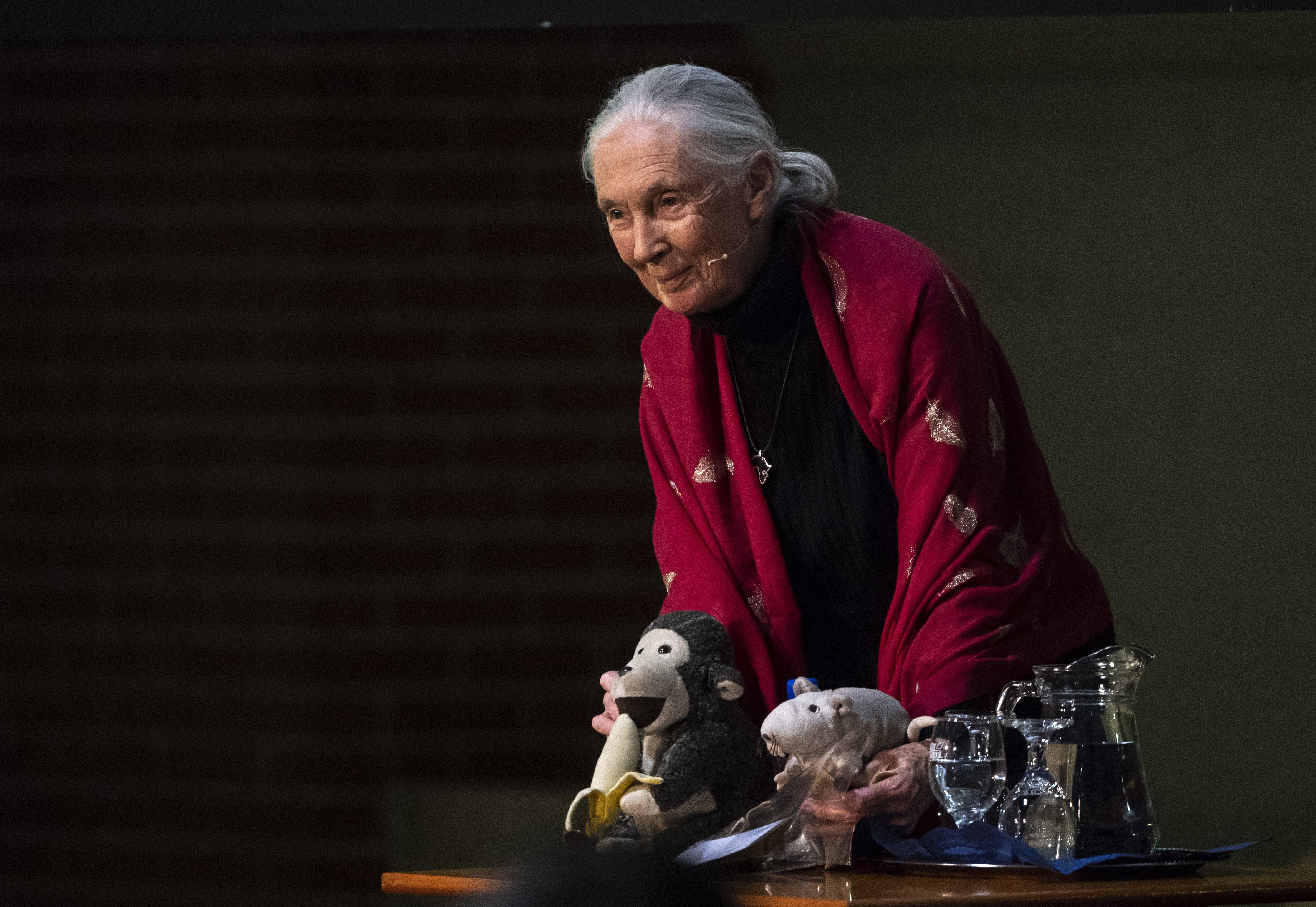 Jane Goodall Budapesten, 2018. május 17. (MTI Fotó: Szigetváry Zsolt)