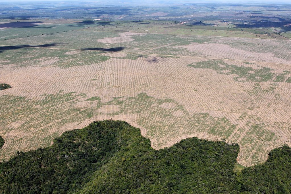Erdőirtás Maranhao államban,